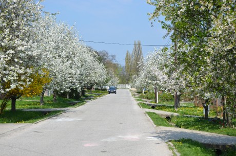 maj 2011 Revolučná