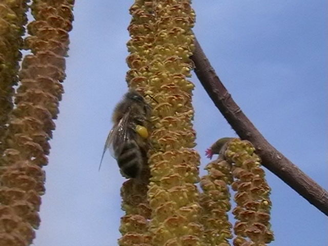 IMGA0010.JPG