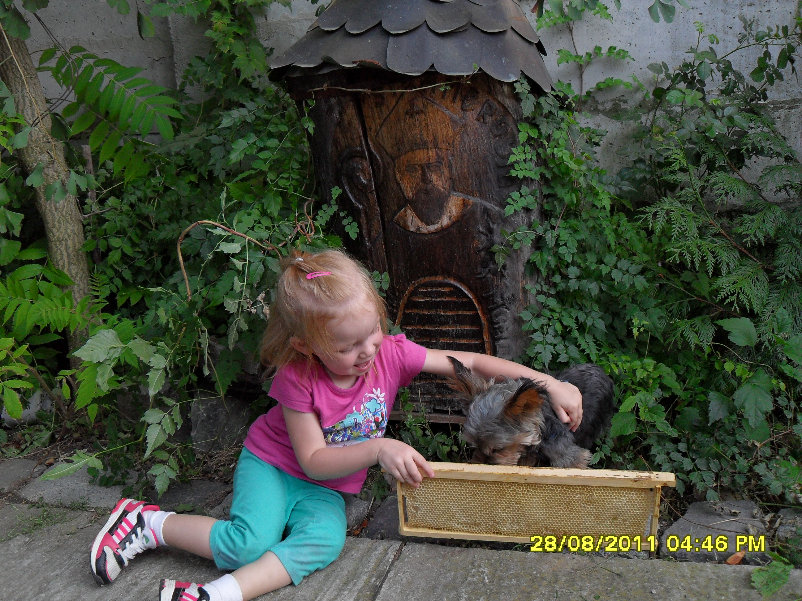 SDC10878.JPG