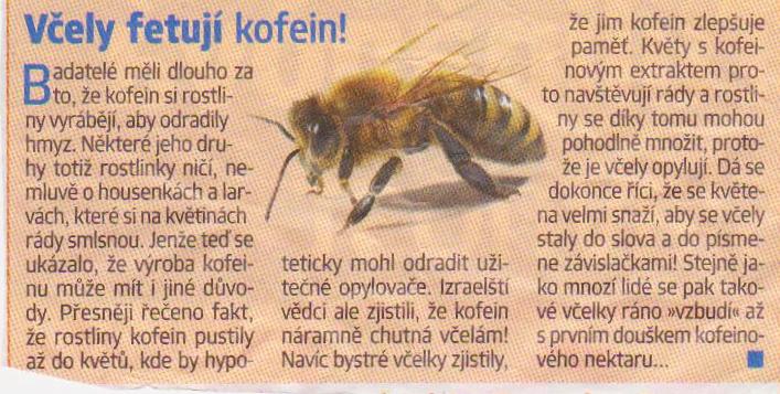 Včeli fetuji kofein